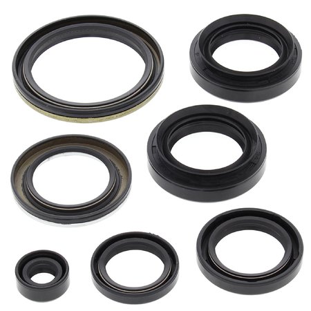 VERTEX Winderosa Engine Oil Seal Kit For Arctic Cat and Suzuki 822239